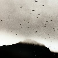 Kris Drever - If Wishes Were Horses (2016)