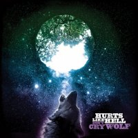 Hurts Like Hell - Don\'t Cry Wolf (2017)