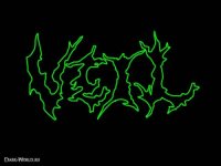 Veil - Promo (2013)