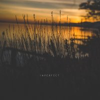 Violet Cold / Sadness / A Light In The Dark / Unreqvited / Show Me A Dinosaur - Imperfect (Split) (2017)