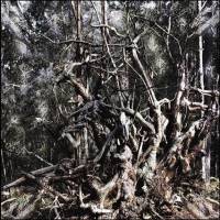 Folge Dem Wind - Hail the Pagan Age (2005)