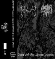 Solus & Ледяной гром - Altar of the Ancient Woods (Split) (2010)