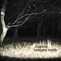 Chaostetic - In tenebris Forests (2012)