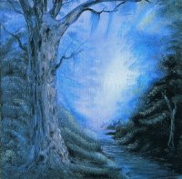 Algol - Entering The Woods Of Enchantment (1996)