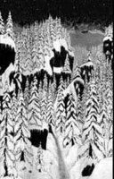 Paysage d\'Hiver - Schattengang (1999)