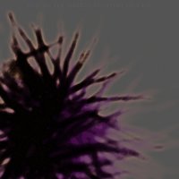 Re-Fuse - The Marred Recovery Process (2013)