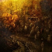 Frozen Ocean / Petrychor - Autumn Bridges (Split) (2013)
