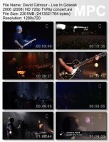 David Gilmour - Live In Gdansk (BDRip HD 720p) (2006)