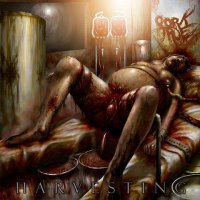 Pork True - Harvesting (2017)