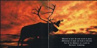 Astrofaes - Ancestors\' Shadows (2002)