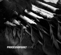 Process Of Guilt - Fæmin (2012)