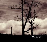 Lost In Desolation - Mourning I (2014)