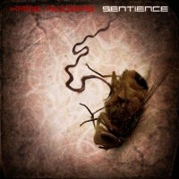 Kade Rogers - Sentience (2017)
