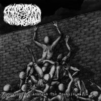 Camphora Monobromata - Suffering Amongst The Hostile Walls (2016)