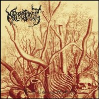 Necrobiosis - The Pile Of Decayed Entrails (Compilation) (2011)