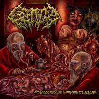 Splattered Entrails - Undercooked Intrauterine Delicacies (Compilation) (2014)