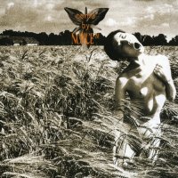 Noyce TM - Coma (2006)