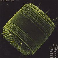 The Strand - Diatom (2004)