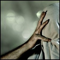 Skyspeaker - Consternation (2012)