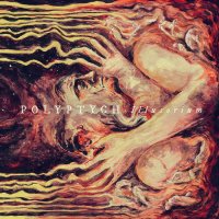Polyptych - Illusorium (2014)