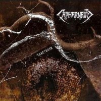 Capharnaum - Fractured (2004)