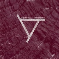 Maeror Tri - Hypnotikum II (2010)