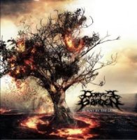 Corpse Garden - Burnt By The Light (2012)