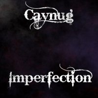 Caynug - Imperfection (2013)