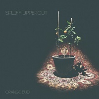 Spliff Uppercut - Orange Bud (2017)