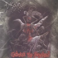Disgorge - Consume The Forsaken (Repress) (2002)  Lossless