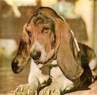 Duffy - Just In Case You\'re Interested (1974)
