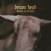 Demon Head - Thunder On The Fields (2017)
