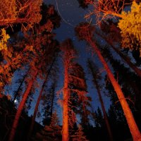 Evergreen Refuge - Embers (2014)