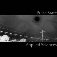Pulse State - Applied Sciences (2013)