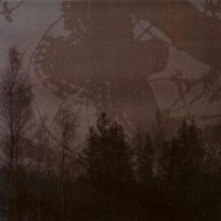 Inmitten des Waldes & Mortualia - Split (2008)