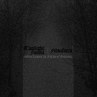Twilight Fauna & Filsufatia - Fallen Leaves In A Tide Of Sorrow [split] (2013)