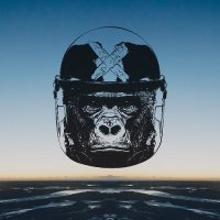 Apina - Infektiko (2015)