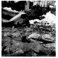 Alaskan - The Weak And The Wounded (2010)