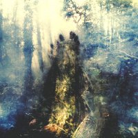 Sylvaine - Wistful (Limited Ed.) (2016)