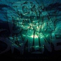 Torn Down Skyline - Where Silence reigns (2011)