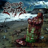 Cerebral Incubation - Asphyxiating On Excrement (2009)  Lossless