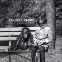 Montreal On Fire - Anima Mvndi Remixed (2013)