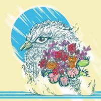 Pulses. - Bouquet. (2017)
