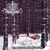 Skady - Eyn Raunen Im Tannicht (2009)
