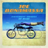Joe Bonamassa - Different Shades Of Blue (2014)  Lossless
