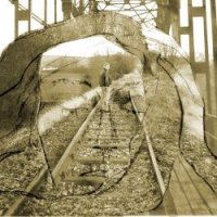 No:Carrier - My Own Dream (2002)