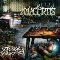 Amagortis - Intrinsic Indecency (2010)