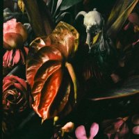 Dræmings - Dræmings (2017)