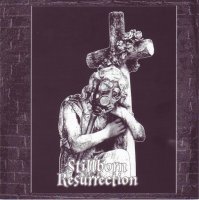Human Paranoid - Stillborn Resurrection (2008)