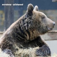 Merzbow - Wildwood (2015)
